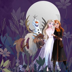 Panoramique Frozen Full...