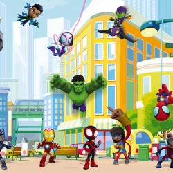 Panoramique Spidey...