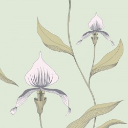 Papier peint Orchid 66/4028...