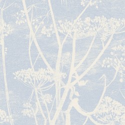 Papier peint Cow Parsley...