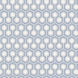 Papier peint Hicks' Hexagon...