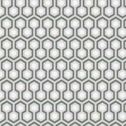 Papier peint Hicks' Hexagon...