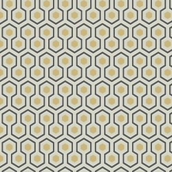 Papier peint Hicks' Hexagon...