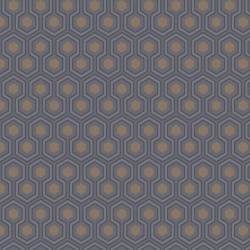 Papier peint Hicks' Hexagon...