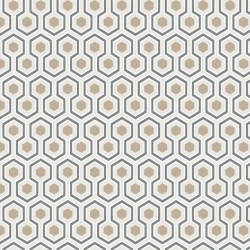 Papier peint Hicks' Hexagon...