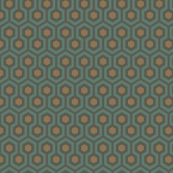 Papier peint Hicks' Hexagon...