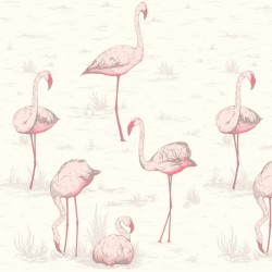 Papier peint Flamingos...