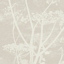 Papier peint Cow Parsley...