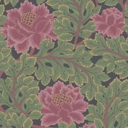 Papier peint Aurora...