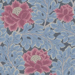 Papier peint Aurora...