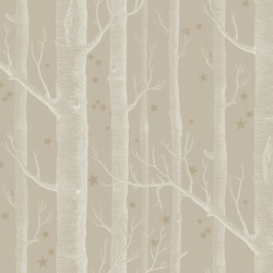 Papier peint Woods & Stars...