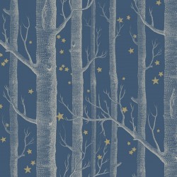 Papier peint Woods & Stars...