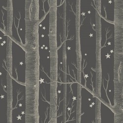 Papier peint Woods & Stars...