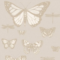 Papier peint Butterflies &...