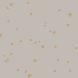 Papier peint Stars 103/3013...