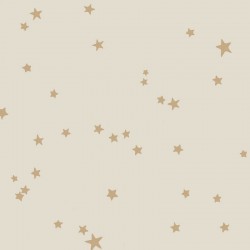 Papier peint Stars 103/3014...