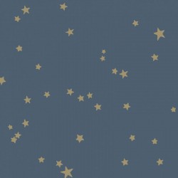 Papier peint Stars 103/3017...