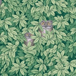 Papier peint Foglie e...