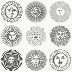 Papier peint Soli 123/1001...