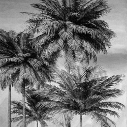 Panoramique komar colours...