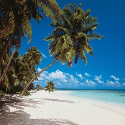 Papier peint collection Les...