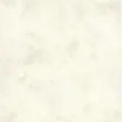 Papier peint les essentiels...