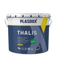 Peinture multi-supports...