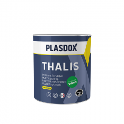 Peinture multi-supports...