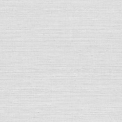 Papier peint Lignes 40504A...