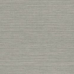 Papier peint Lignes 40513A...