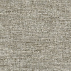 Papier peint Aspero 40549A...