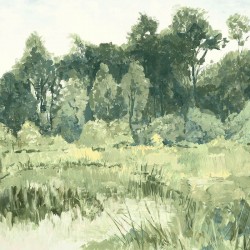 Panoramique Casamance...