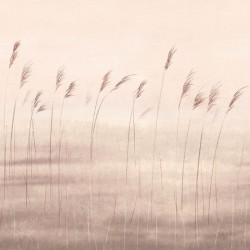 Panoramique Casadeco...