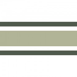 Frise Casadeco Galons...