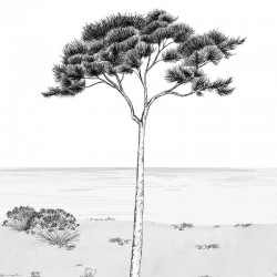 Panoramique Casadeco...