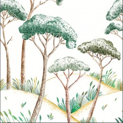 Panoramique Caselio Azur...