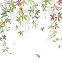 Panoramique Casadeco...