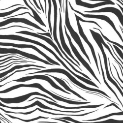 Panoramique Caselio Wild...