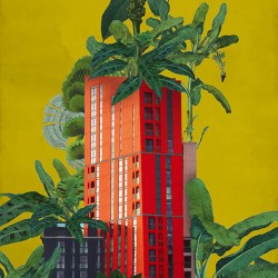 Panoramique Plant House...