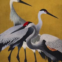 Panoramique Yellow Cranes...