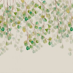 Panoramique Douche de...