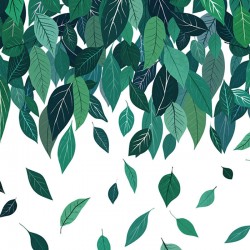 Panoramique Blatterchaos...