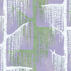 Panoramique Crazy Willow...