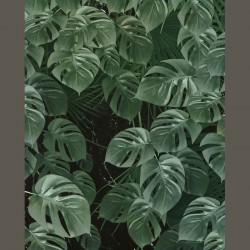 Panoramique Monstera on...