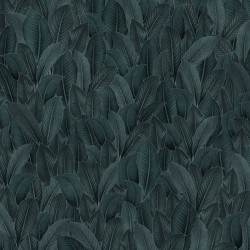 Panoramique Bain de...