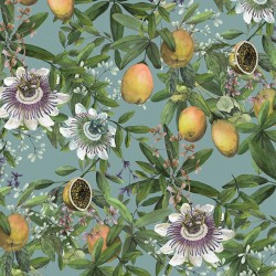 Panoramique Bellezza...