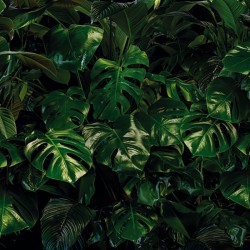 Panoramique Tropical Wall...