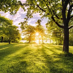 Panoramique Golden Moment...