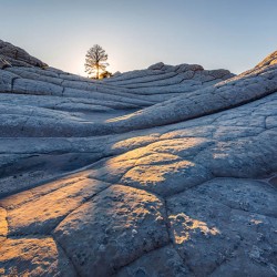 Panoramique Elephant Skin...