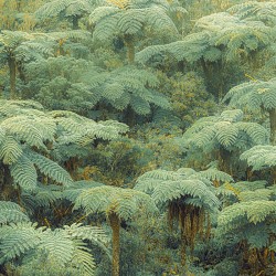 Panoramique Jungle Lands...